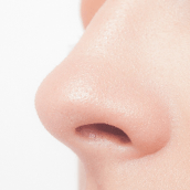 鼻